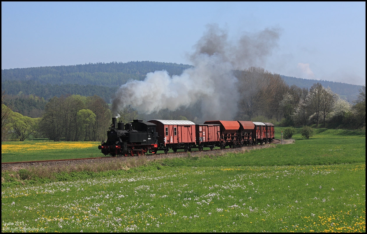 Löwenzahn und Wisenschaumkraut bei Nordheim